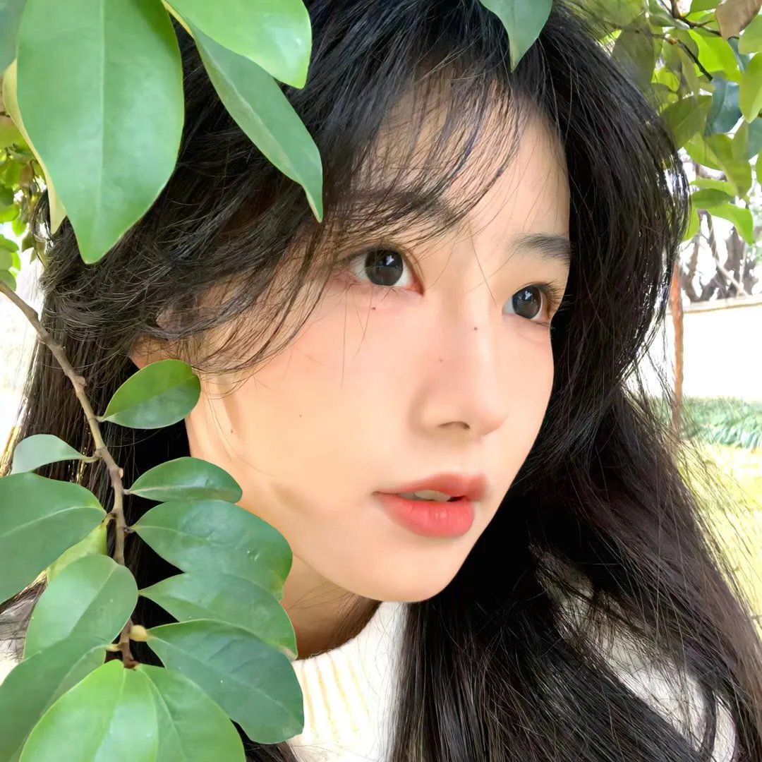 无处安身